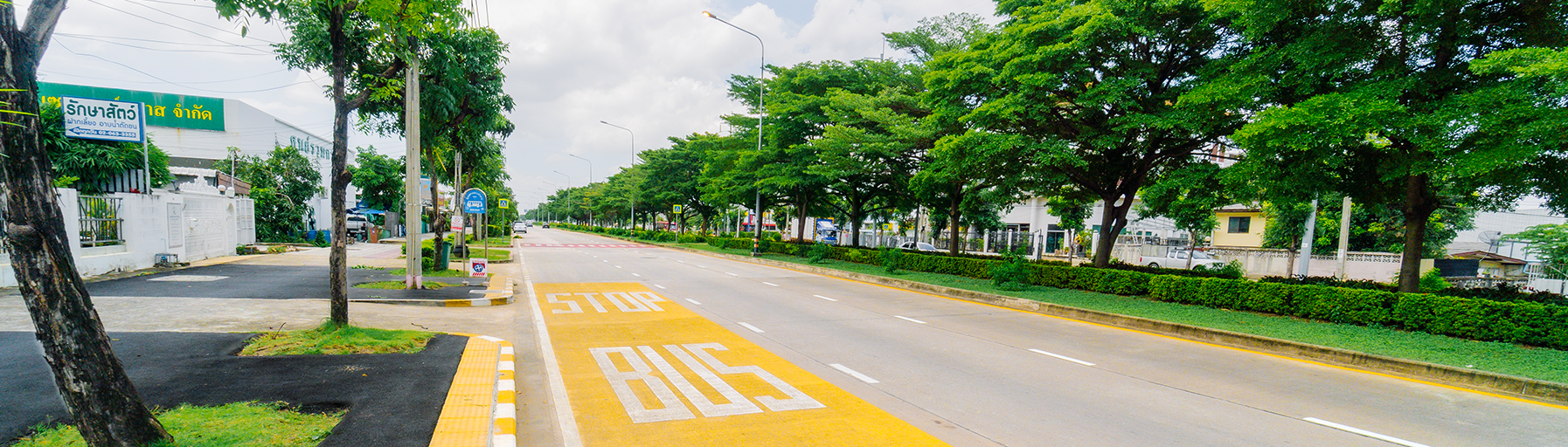 งานตีเส้นจราจรด้วยวัสดุสีจราจรแบบน้ำ​บนผิวทาง ประเภทที่ 2